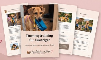 Einblick in die Dummytraining-Anleitung
